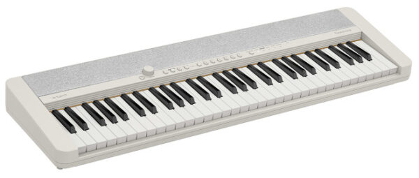 CASIO CT-S1